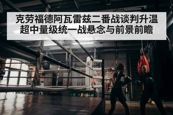 boxer training gym
