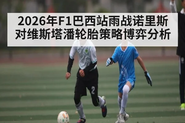 2026年F1巴西站雨战诺里斯对维斯塔潘轮胎策略博弈分析（Kaiyun Sports）